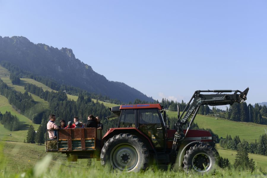 Traktorausfahrt Sommer